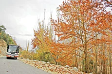 Pakistan Independence Day Supplement: Pakistan — The land of mountains