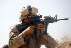 Taleban kill eight US soldiers