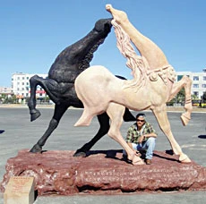 Saudi artist wows China
