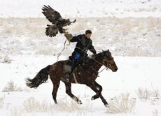 Kazakhs chase history with ancient eagle hunting