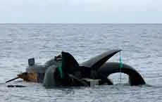 Anti-whaling boat sinks