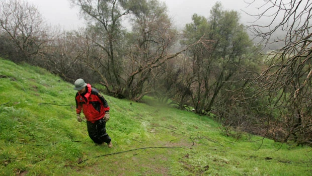 Drug gangs taking over US public lands