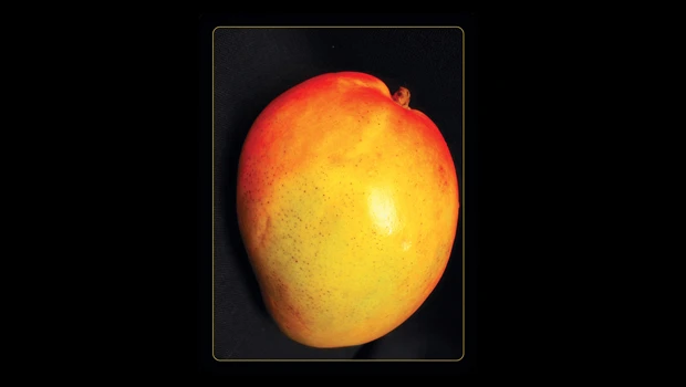Mango: The leading superfruit