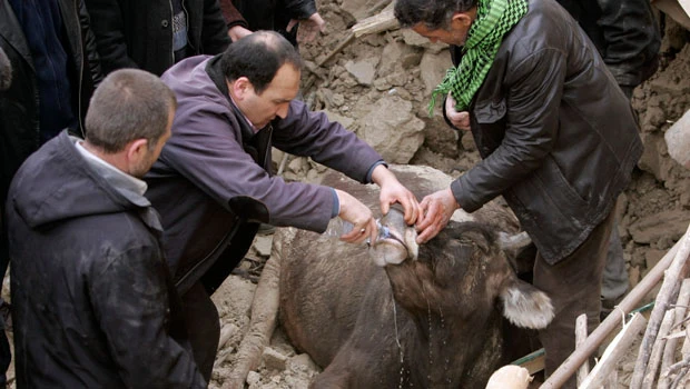 Quake exposes poor construction in Turkey