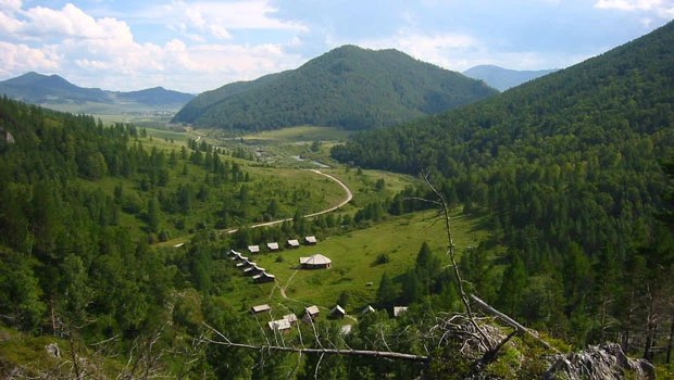 New ancestor? Scientists ponder DNA from Siberia