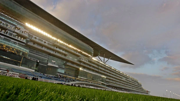 Dubai racing purse huge but field short on glamor