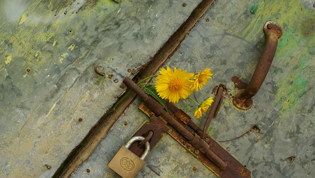 ‘Photograph 3’ comes to Jeddah