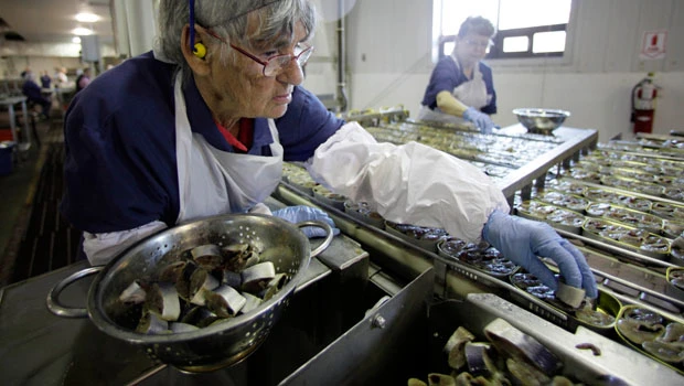Last US sardine cans being packed in Maine