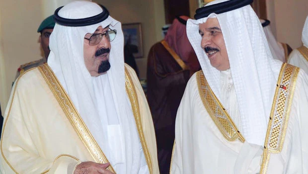 Joint global efforts to curb piracy urged