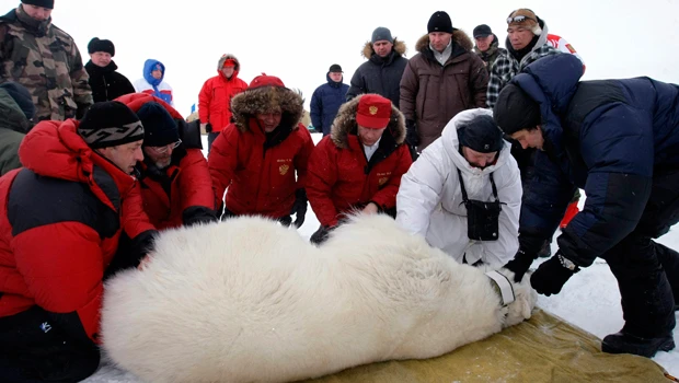 Russian PM Putin orders Arctic cleanup
