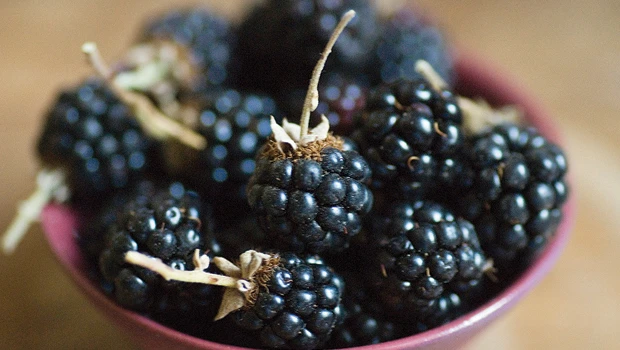 Blackberry: The superberry not the smart phone
