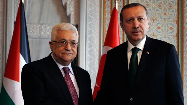 Turkey insists on international probe