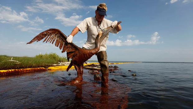 Gulf containment cap closely watched in 2nd day