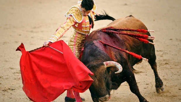 Spanish region says adios to bullfighting