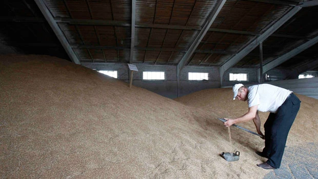 Ukraine delays grain export quotas decision