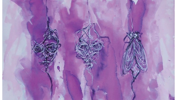 Lord of the flies: One young artist establishes his place in Amman’s art world through an unusual theme