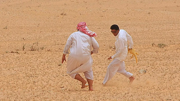 Hunting lizards popular in summer
