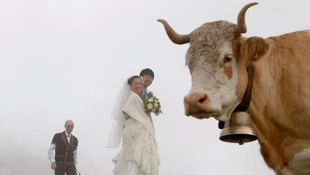Japanese lovebirds flock to marry in Swiss Alps
