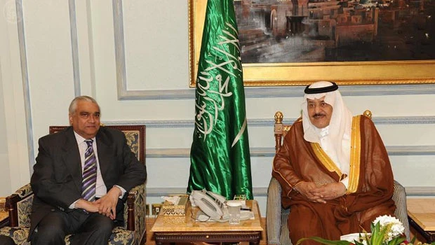 Ambassadors urged to help Saudis