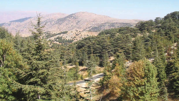 A walk on the historic side of Lebanon
