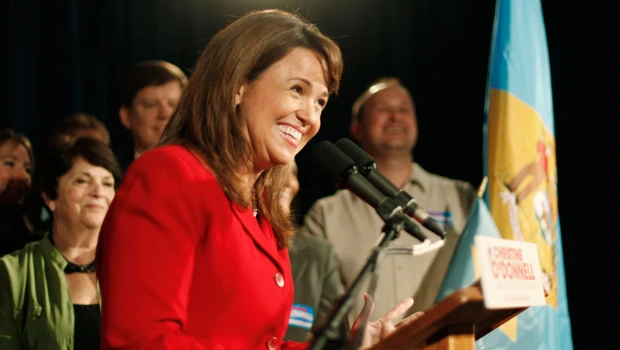 Tea party candidate wins US Senate primary