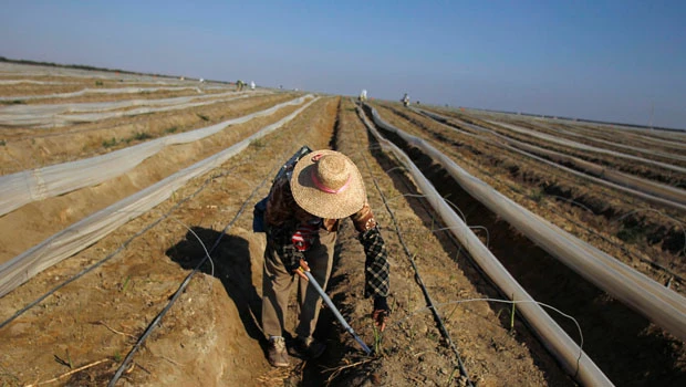 Peru water wars threaten agricultural export boom
