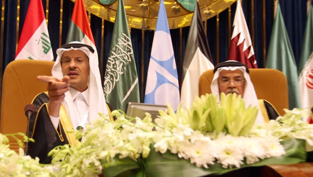 Kingdom to set up center for rational use of energy