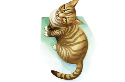Not a-meow-sing at all: Leaving country for good, expats dump their cats