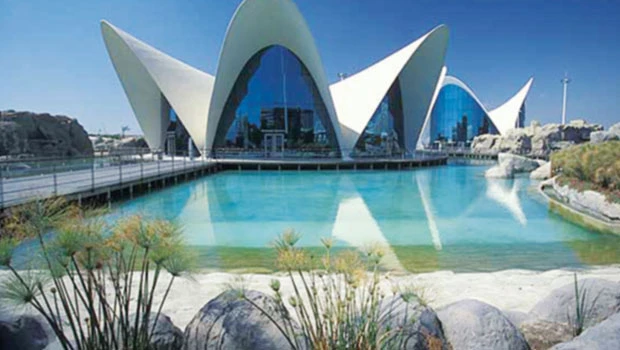 Focus on Spain – 'A friendly and dependable partner'