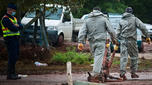 Hungary probes sludge disaster