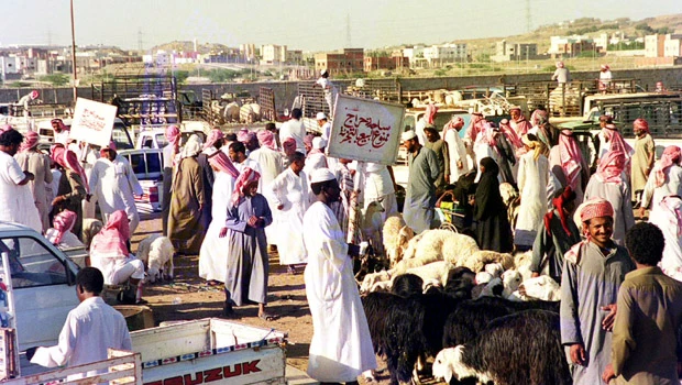 High cattle prices: Subsidies not working