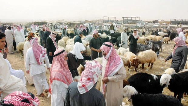 Elaborate arrangements made for Eid