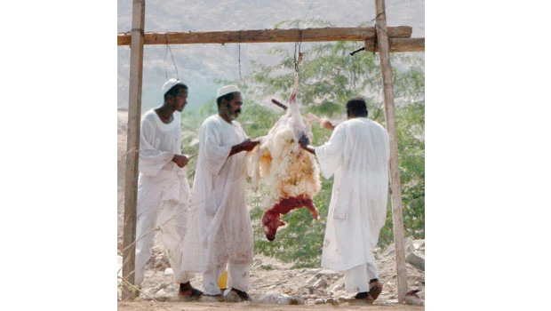 Unlicensed butchers roam streets looking for business