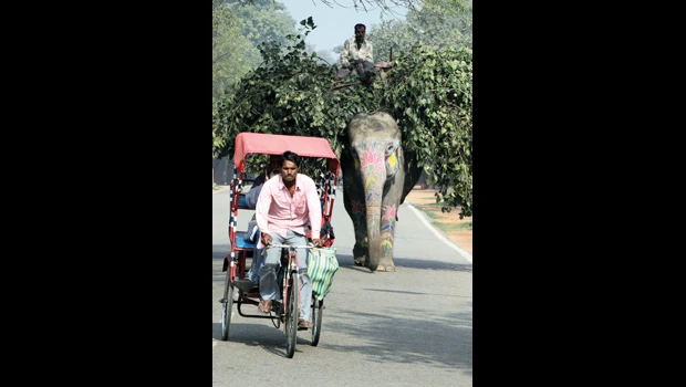 Experience Dhaka on the rickshaw