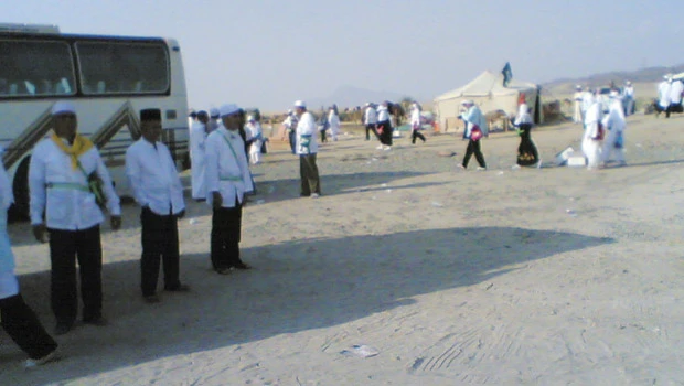 Camel milk getting popular among pilgrims in Jeddah