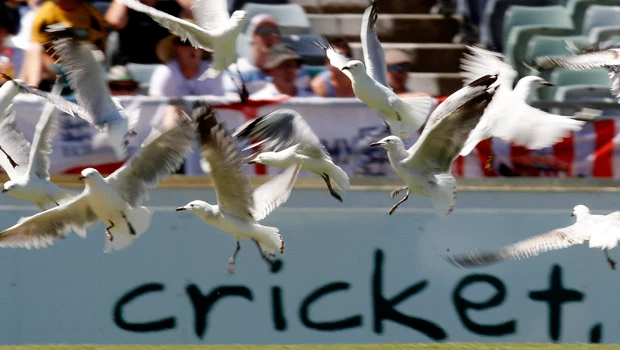 England seizes control of fourth Ashes Test