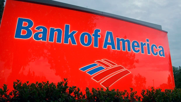 Bank of America stops handling WikiLeaks payments