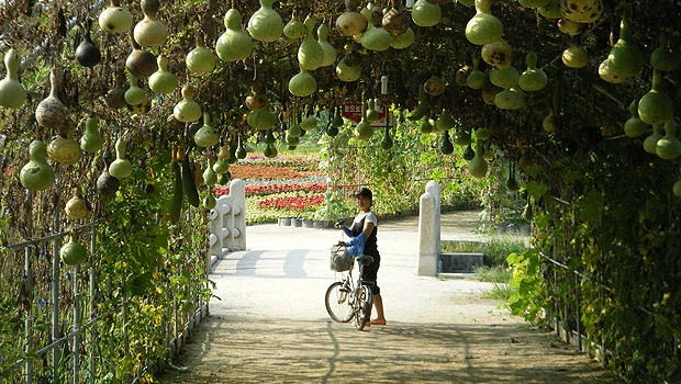 A virtual museum without walls — Gyeongju is the place to be when visiting South Korea