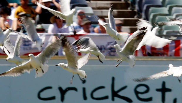 South Africa, India set for series decider