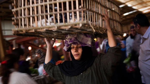 Egyptians stock up on food, water as protests rage
