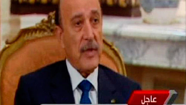 Egypt VP pledges to punish those behind violence