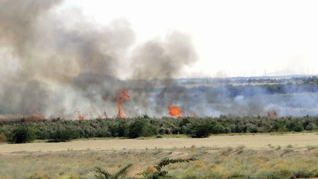 Bush fire outside Makkah contained
