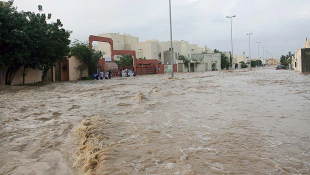 Rain destroyed my 11 years