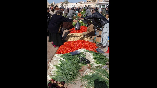 World food prices hit record high in February