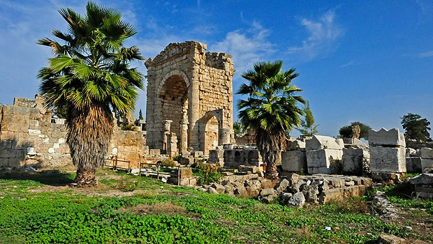 Phoenicia Revived