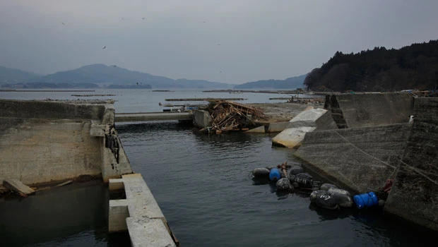 Tsunami-hit towns forgot warnings from ancestors