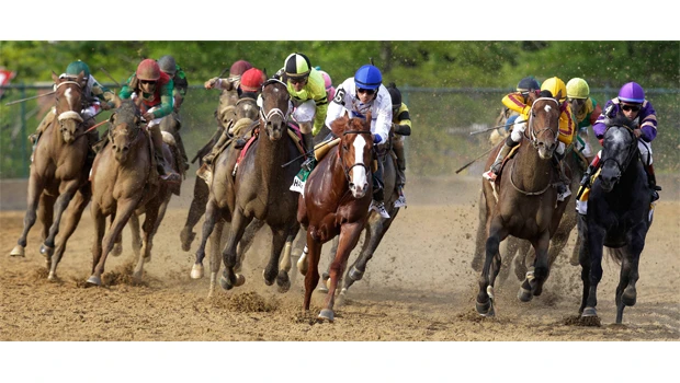 Shackleford edges Animal Kingdom, wins Preakness