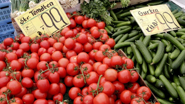 WHO warns against hasty antibiotic use for E. coli