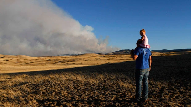 Huge Arizona wildfire rekindles forest debate