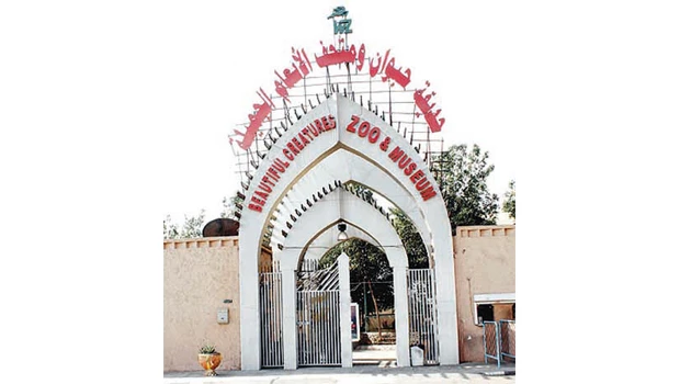 Jeddah zoo to become safari park on relocation